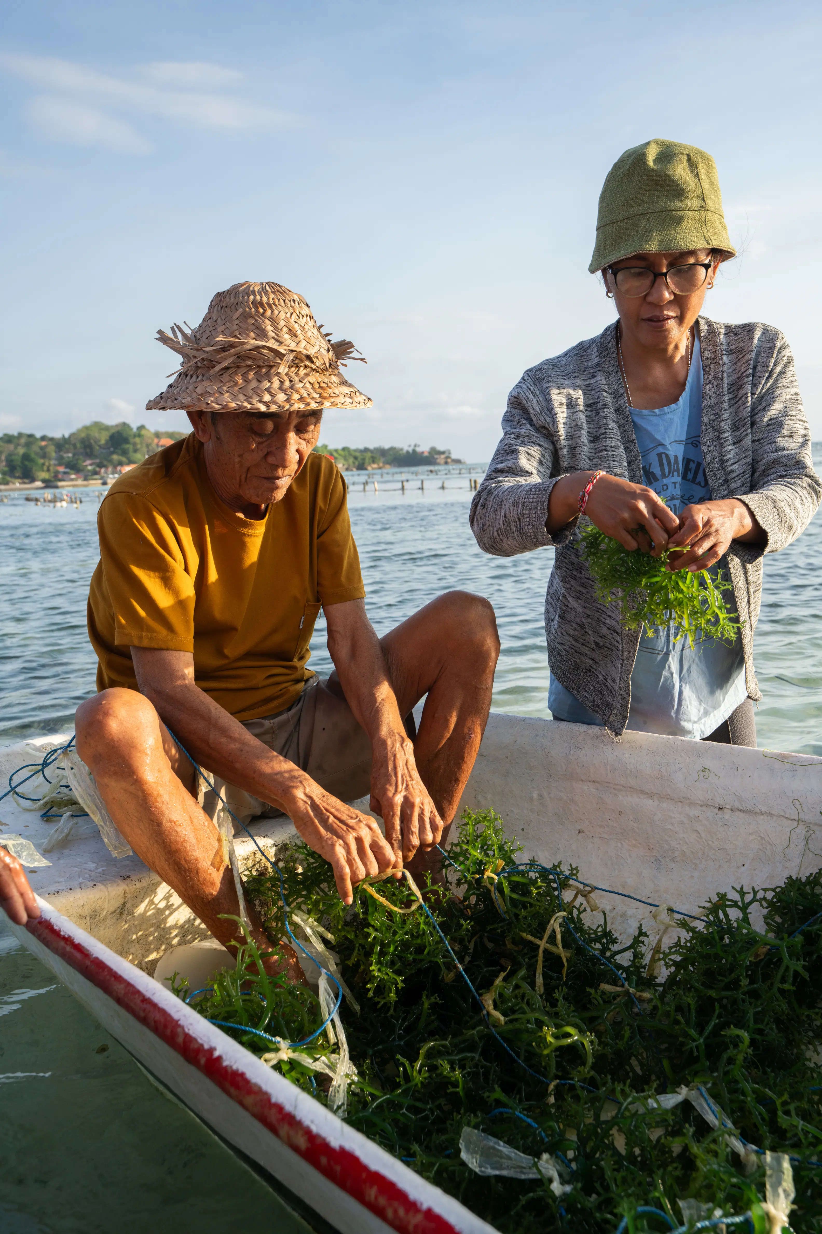 FARMED BY THE SEA